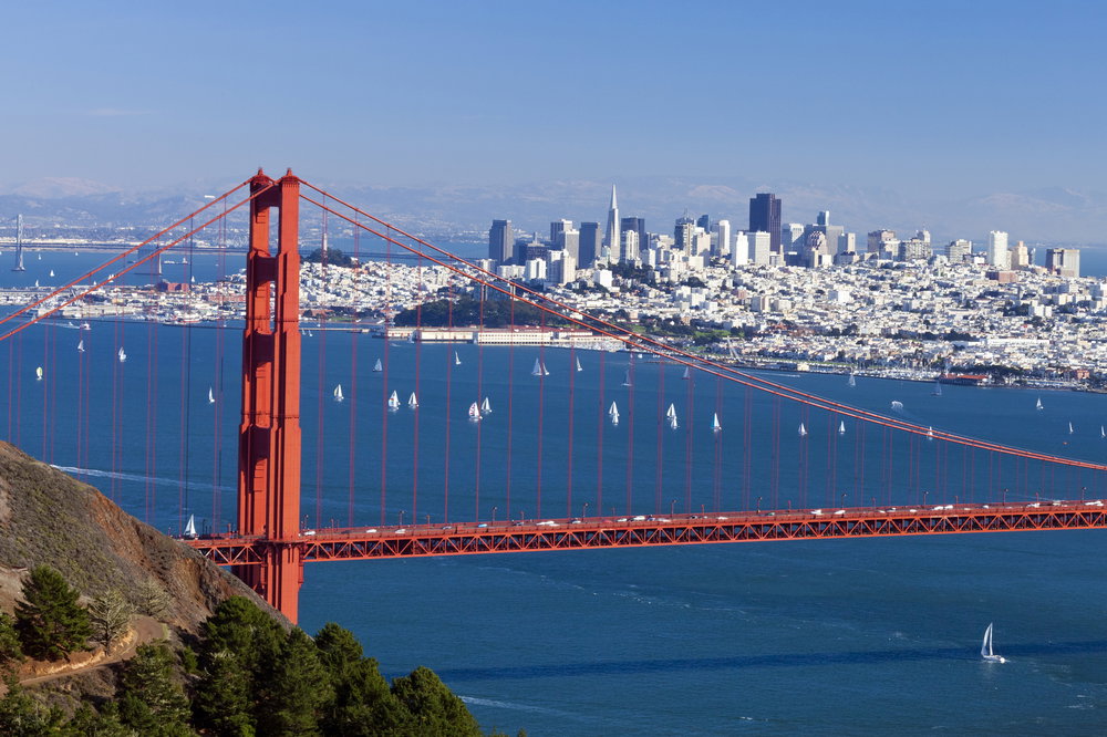 shutterstock_118203955