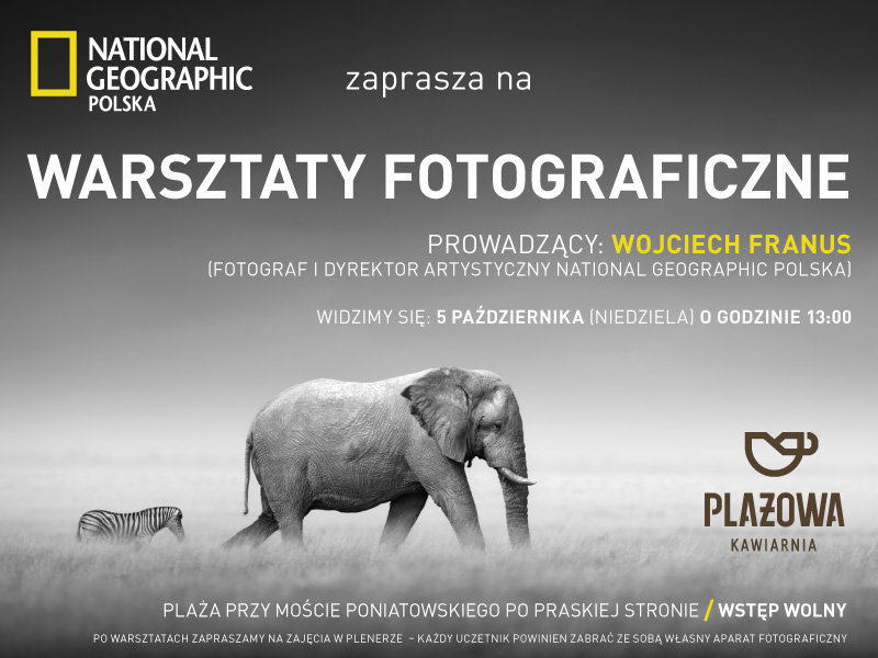 warsztaty_MT