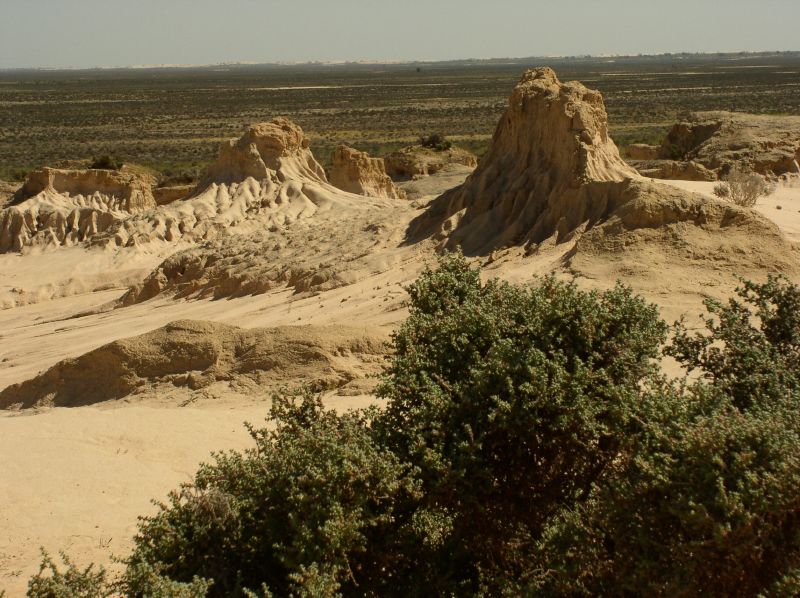 Mungo