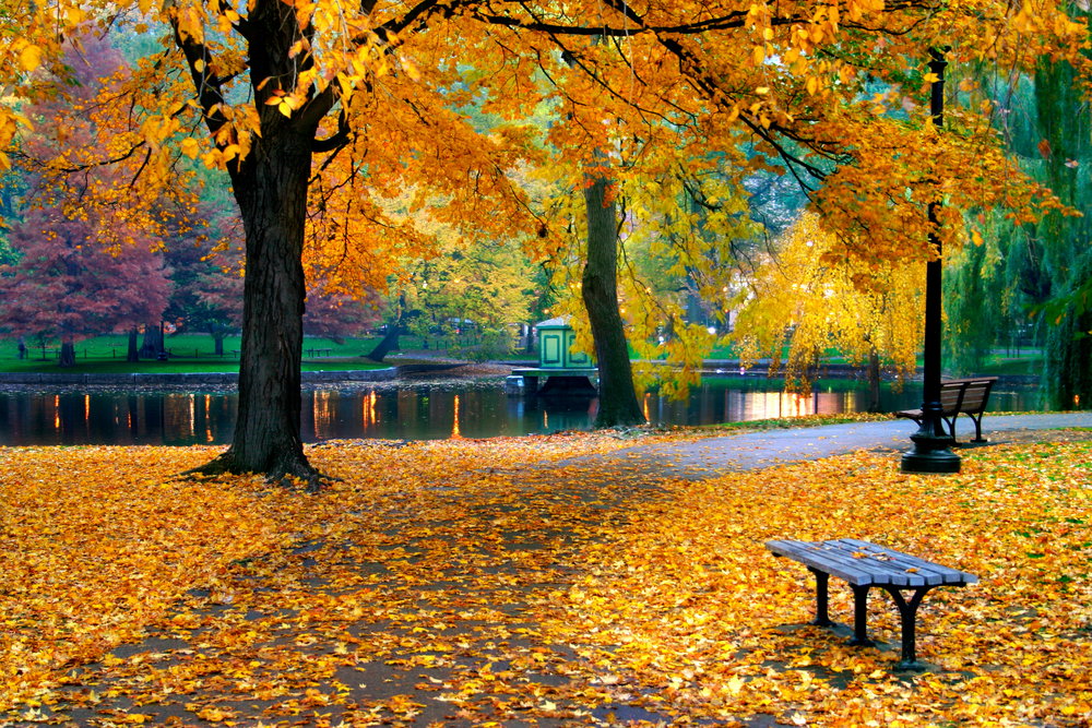 shutterstock_1753227