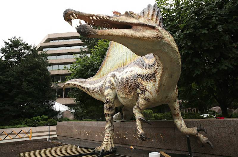 dino1