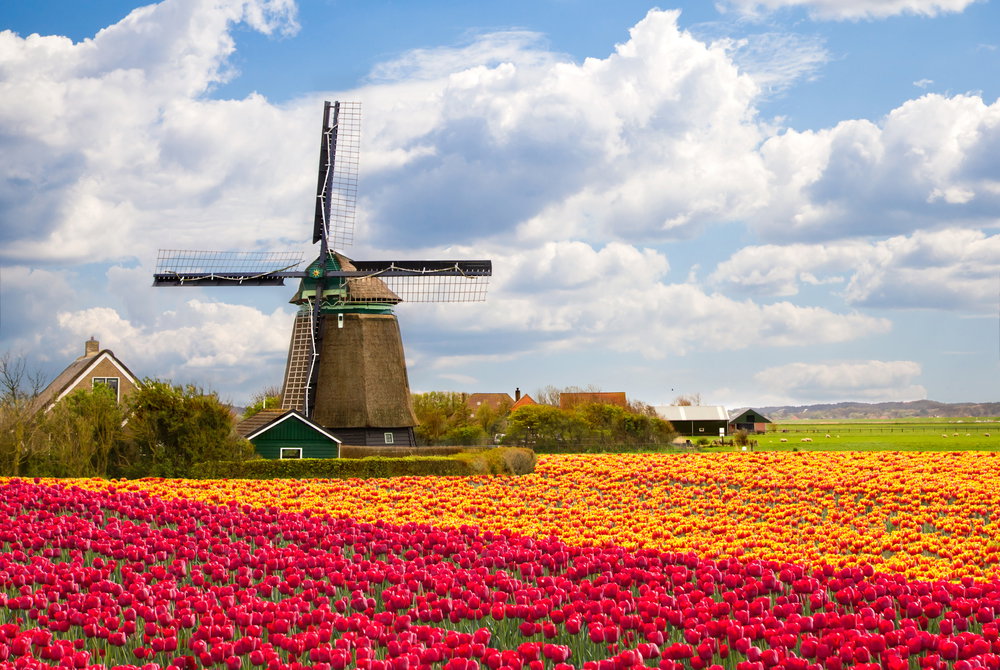 shutterstock_103740818