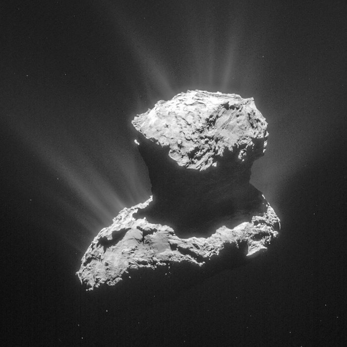 rosetta1