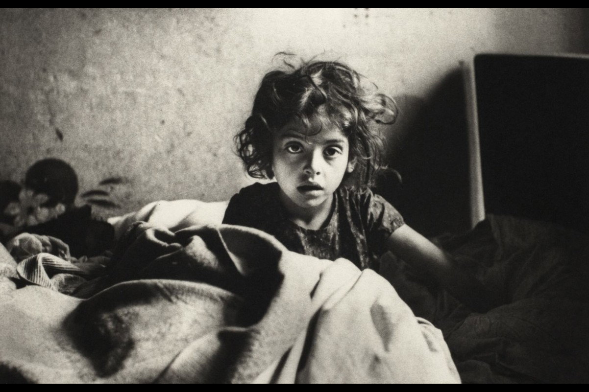 vishniac_pressimage_9