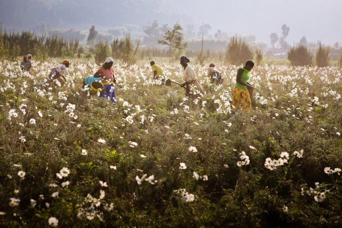 rwanda
