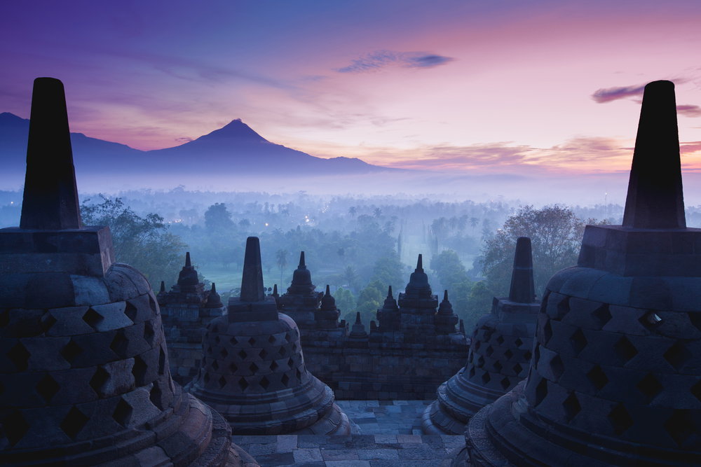 shutterstock_115097959