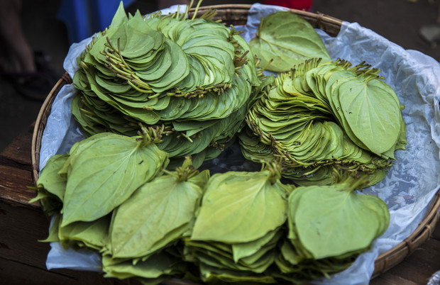 Birma Mjanma