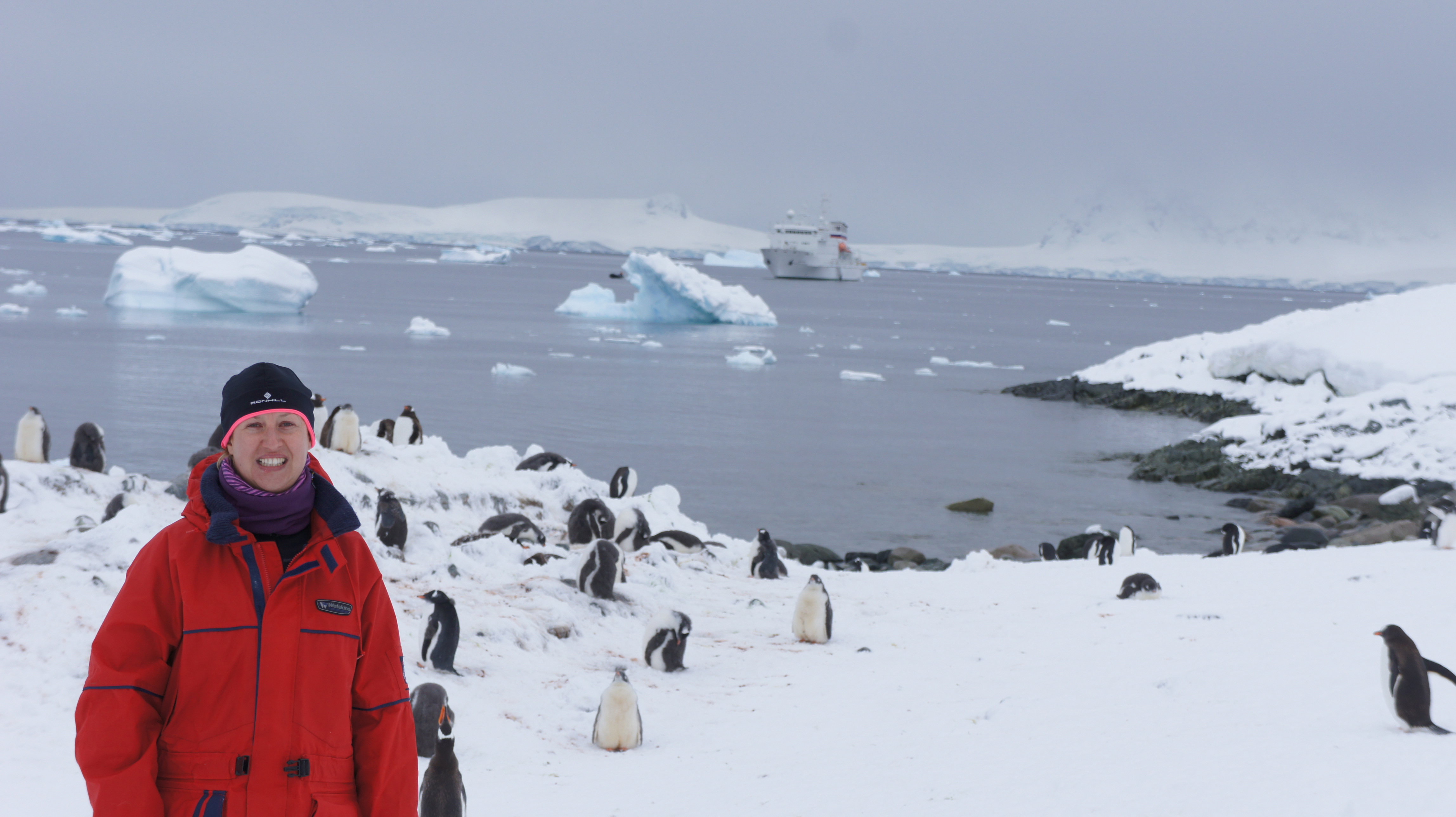 Antarktyda3