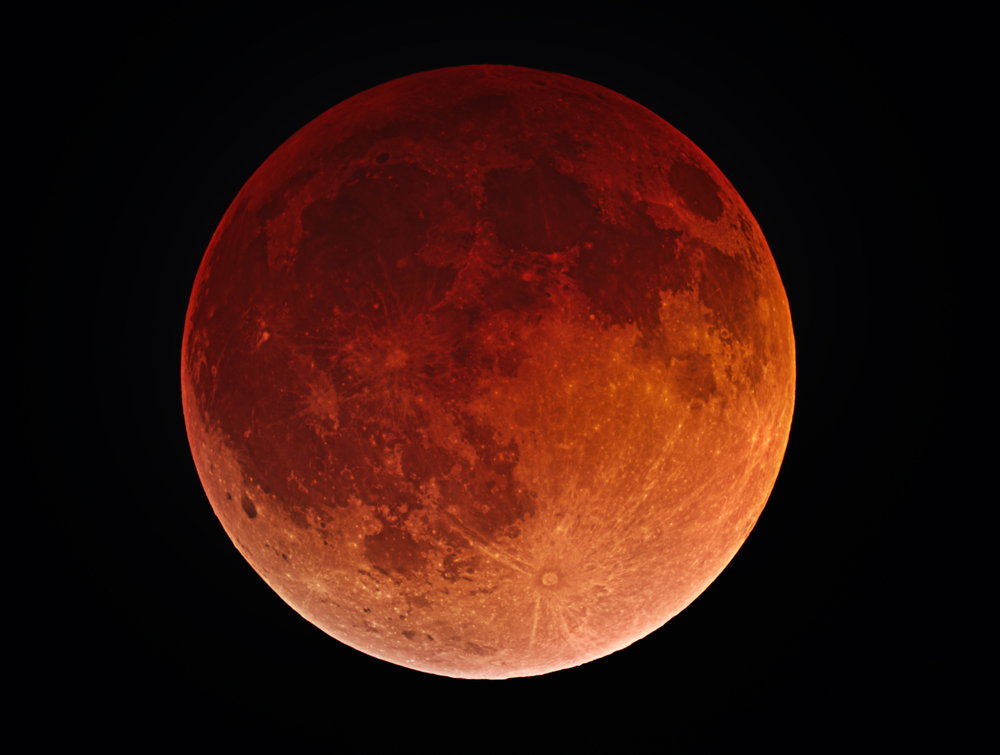 shutterstock_194992538
