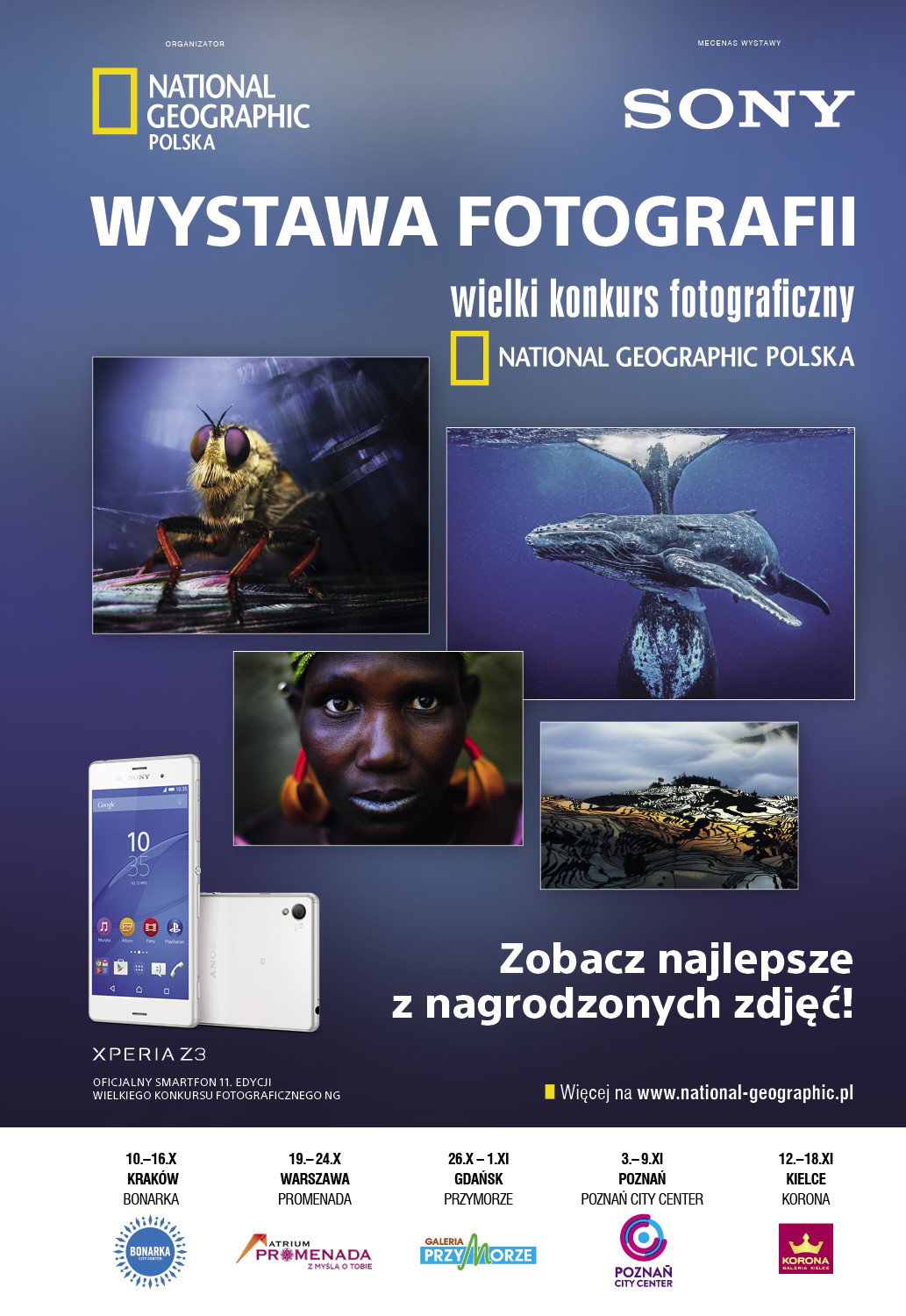 layout promo