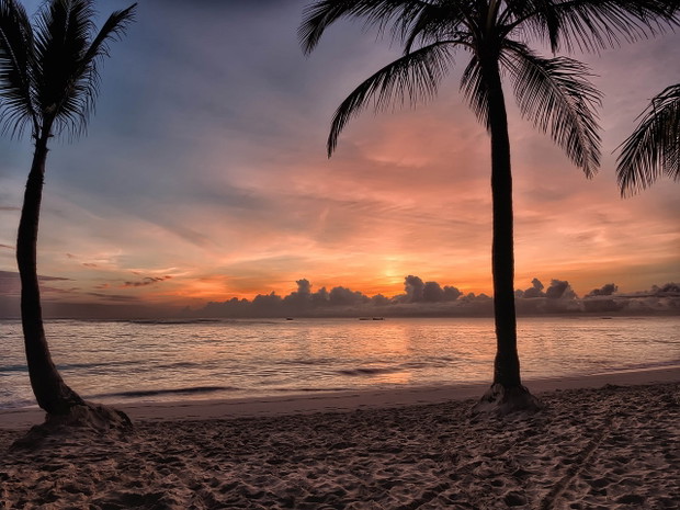 bavaro-982865_1280