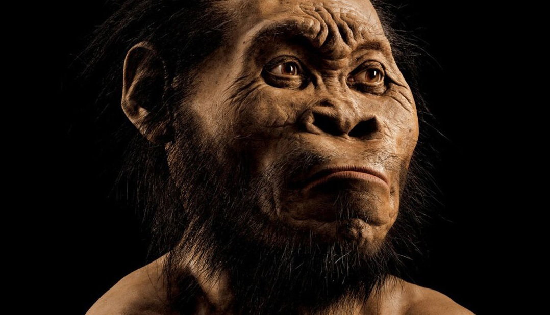 Homo naledi
