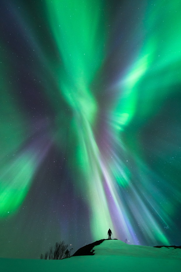 Interaction © Tommy Eliassen