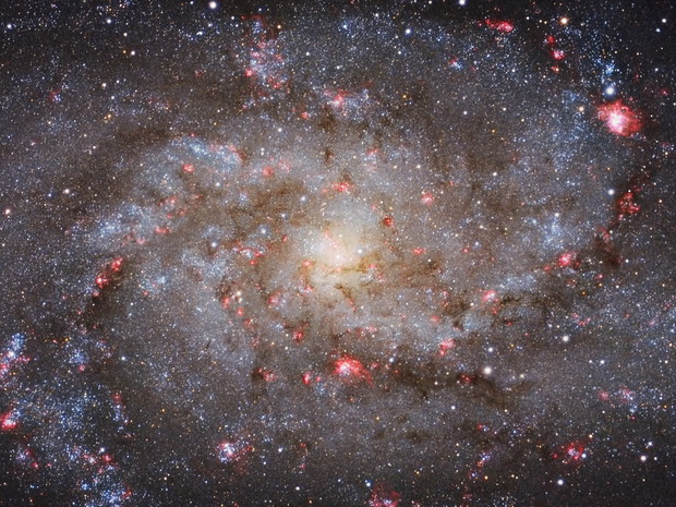 M33 Core © Michael van Doorn