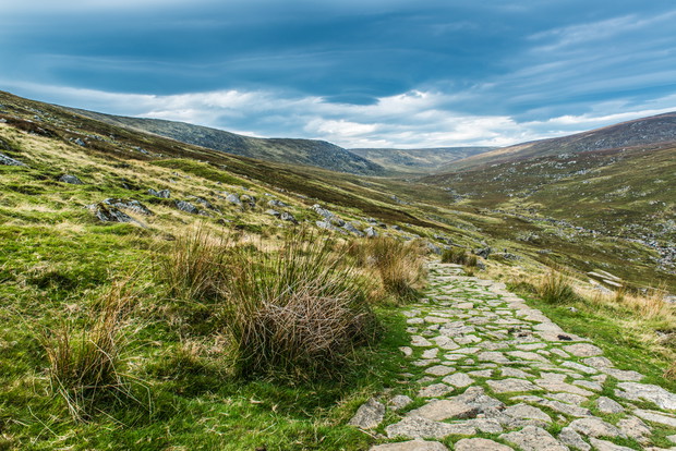 shutterstock_190117613