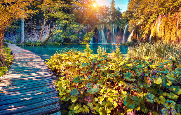 shutterstock_268748123