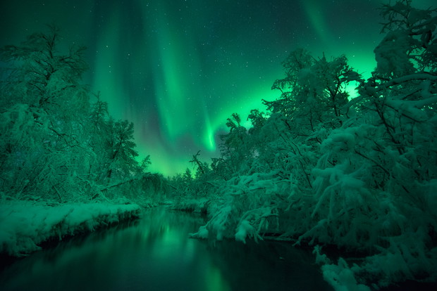 Sumo Waggle Adventure © Arild Heitmann