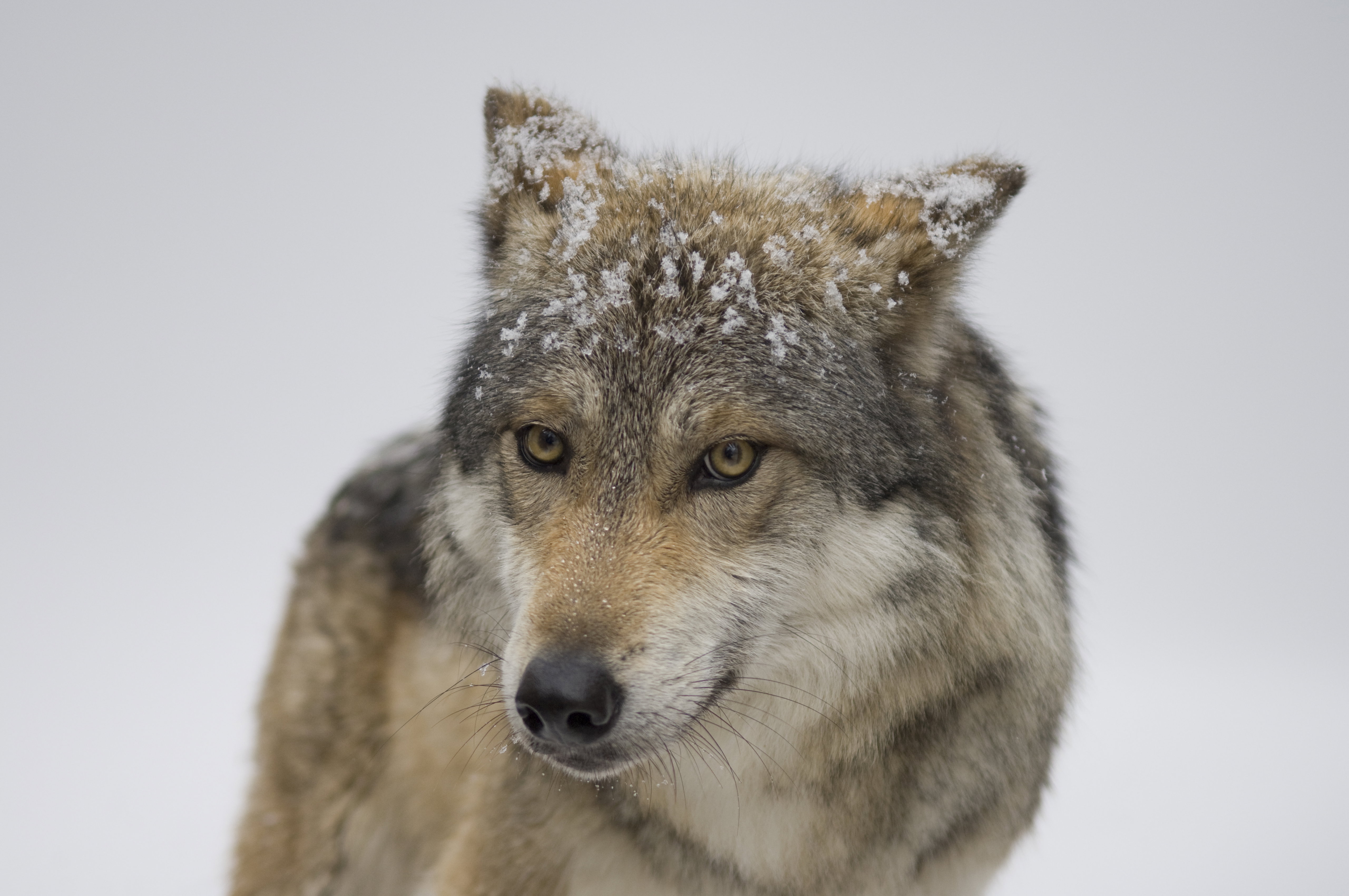 NationalGeographic_1213025