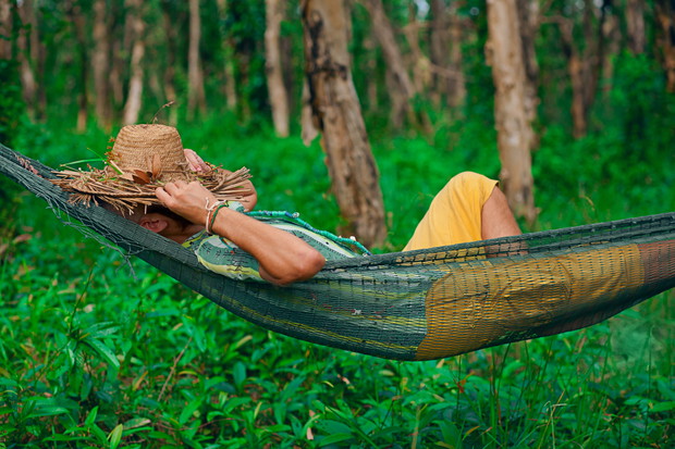 2_shutterstock_288593591
