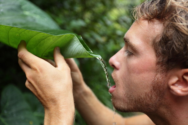 4_shutterstock_125263139