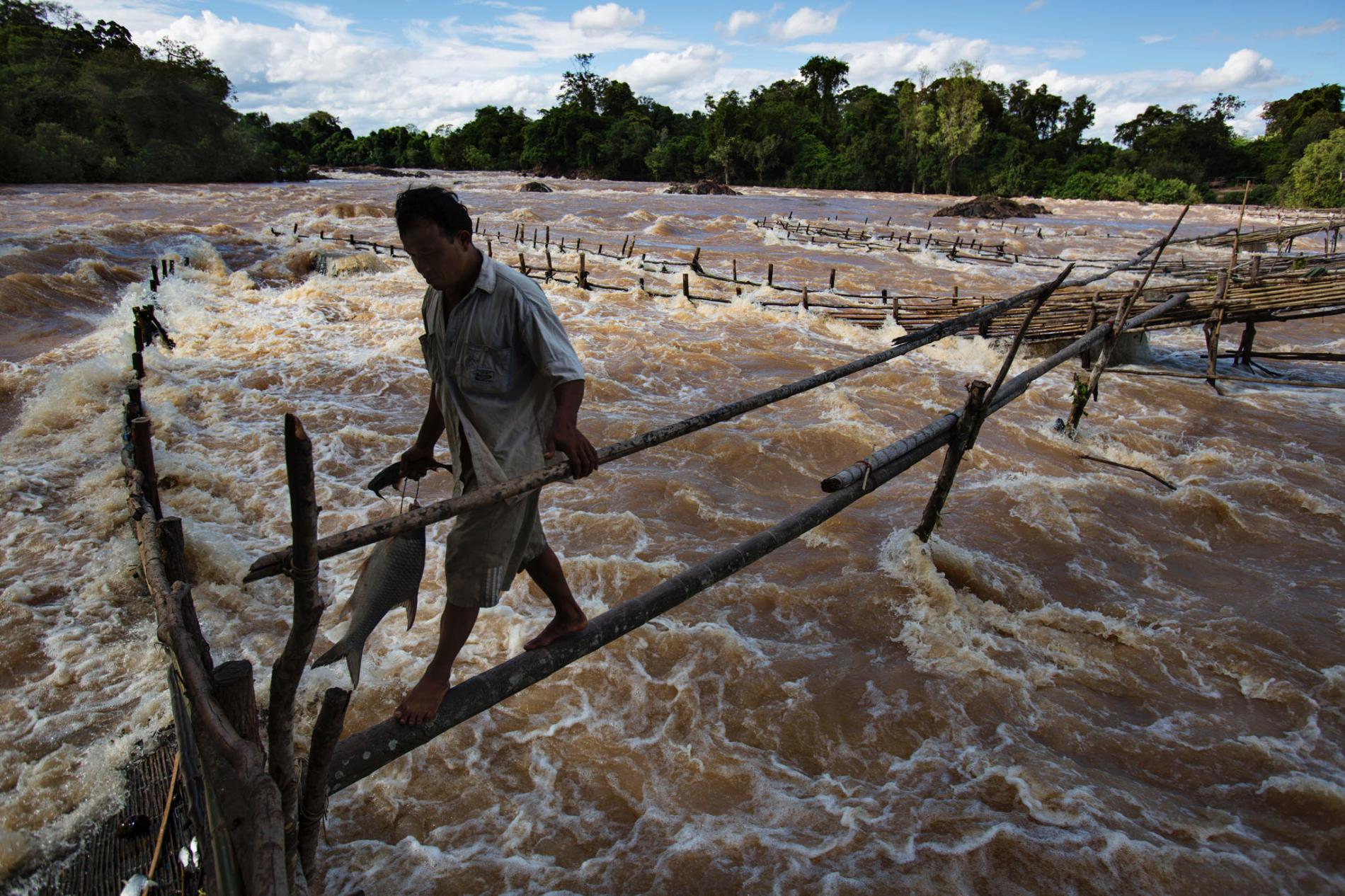 Mekong
