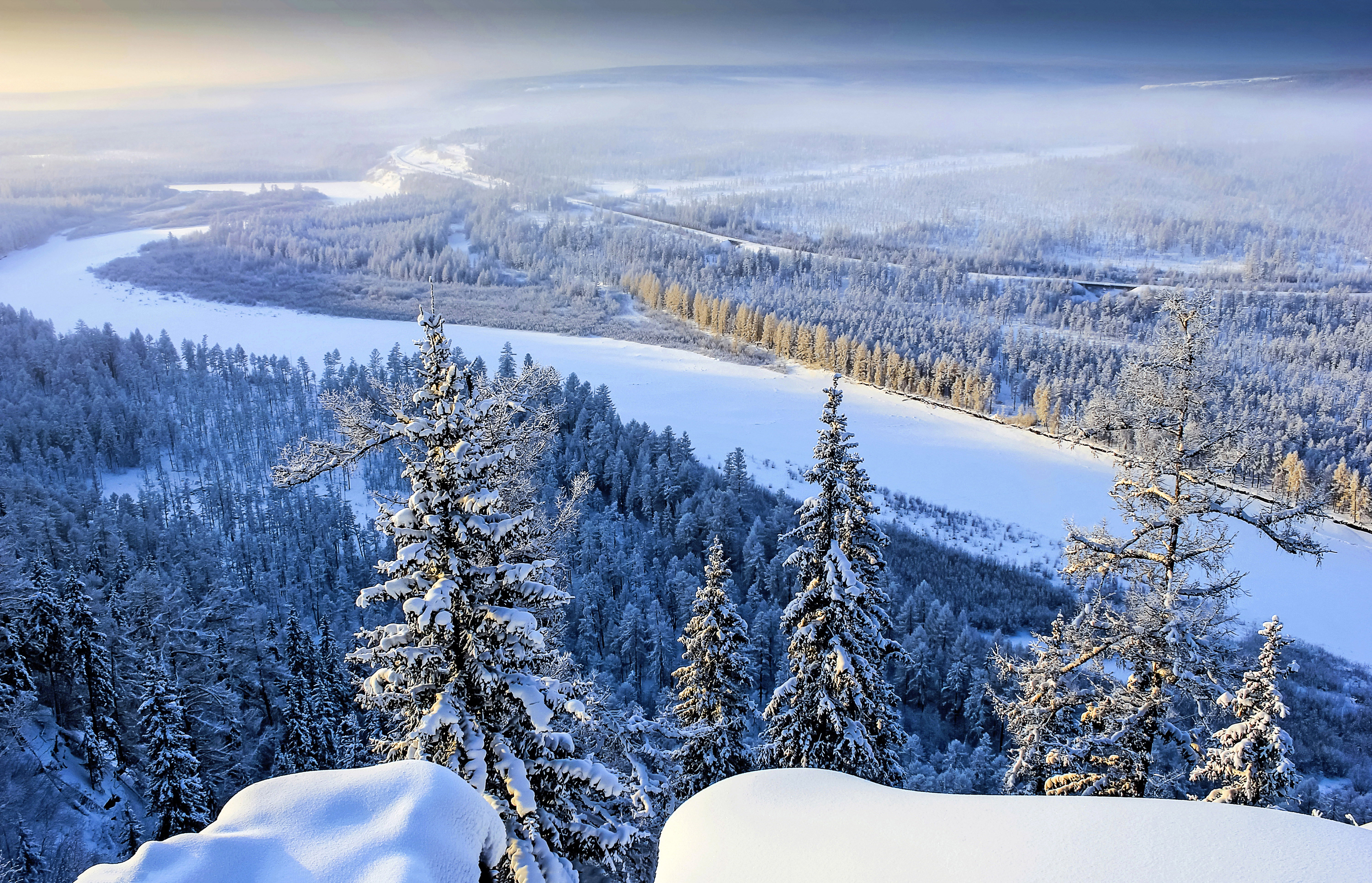 shutterstock_323936702