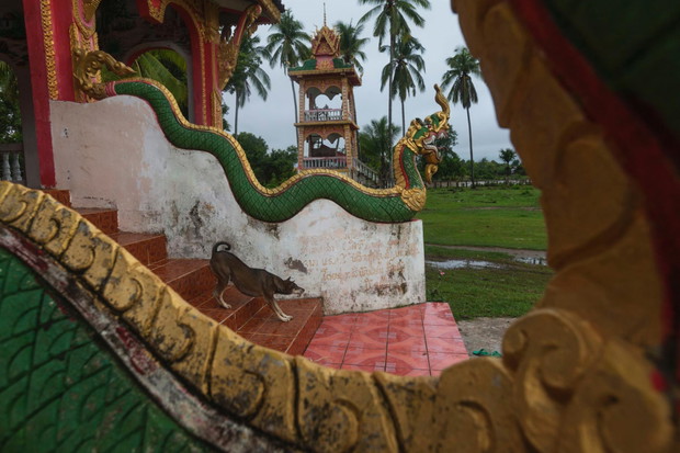 Mekong