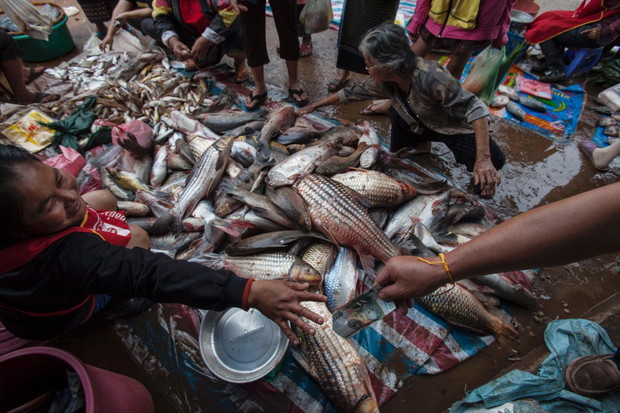 Mekong