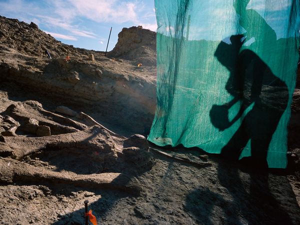 wyoming-dinosaur-fossils_8900_600x450