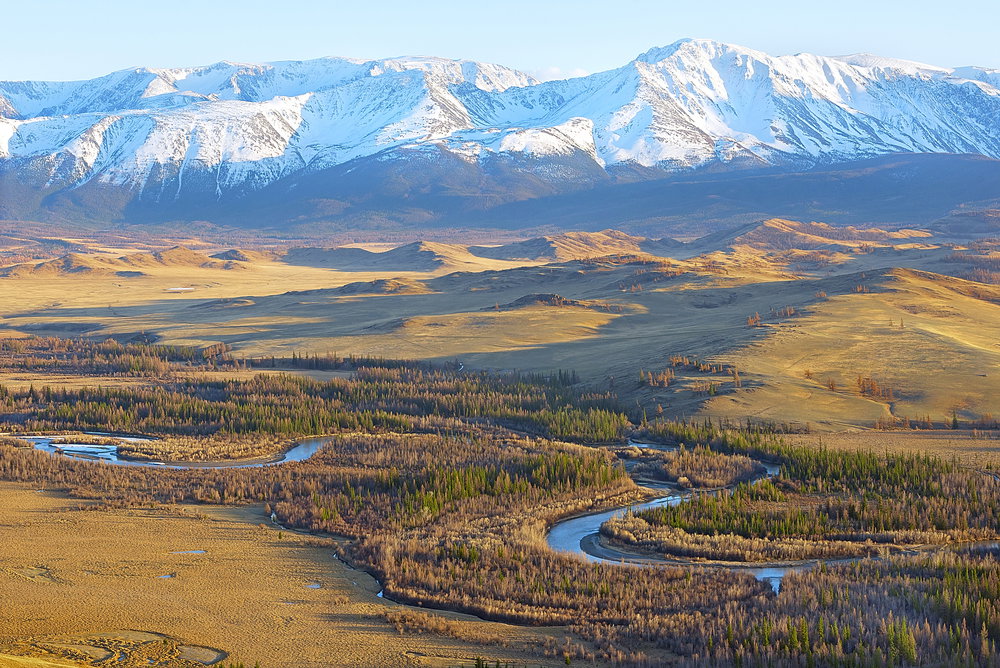 shutterstock_276842747