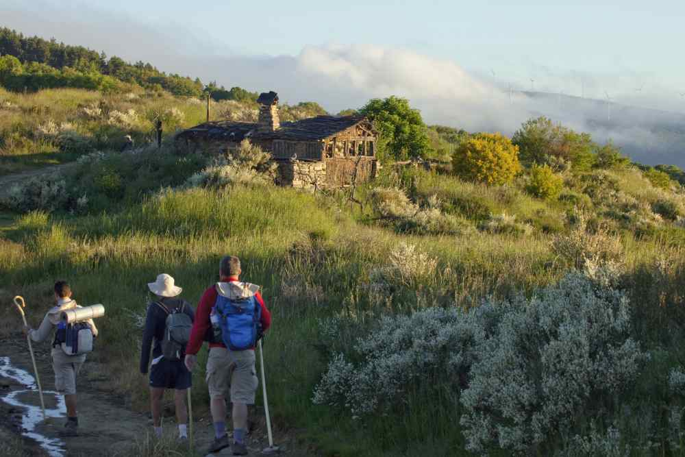 Szlak Camino de Santiago w 5 krokach