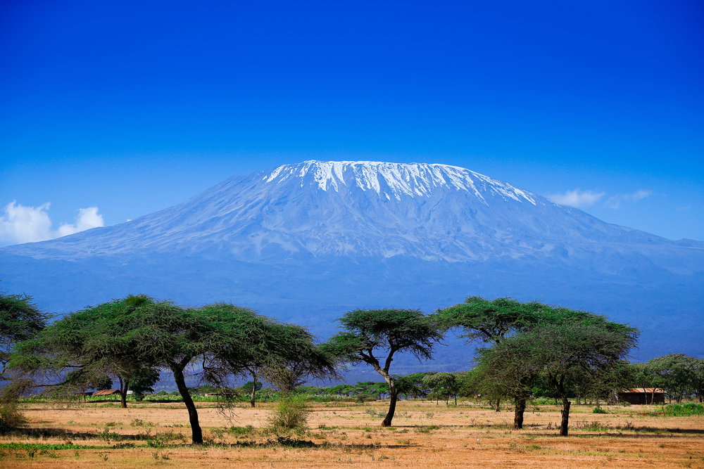 shutterstock_343148936