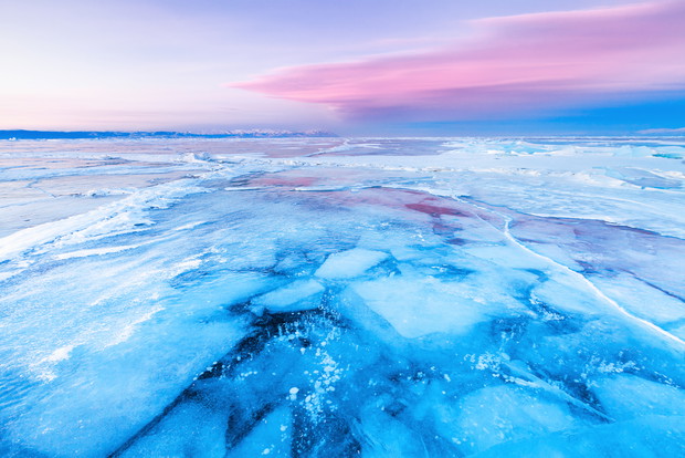 shutterstock_267321554