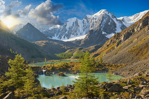 shutterstock_274859282