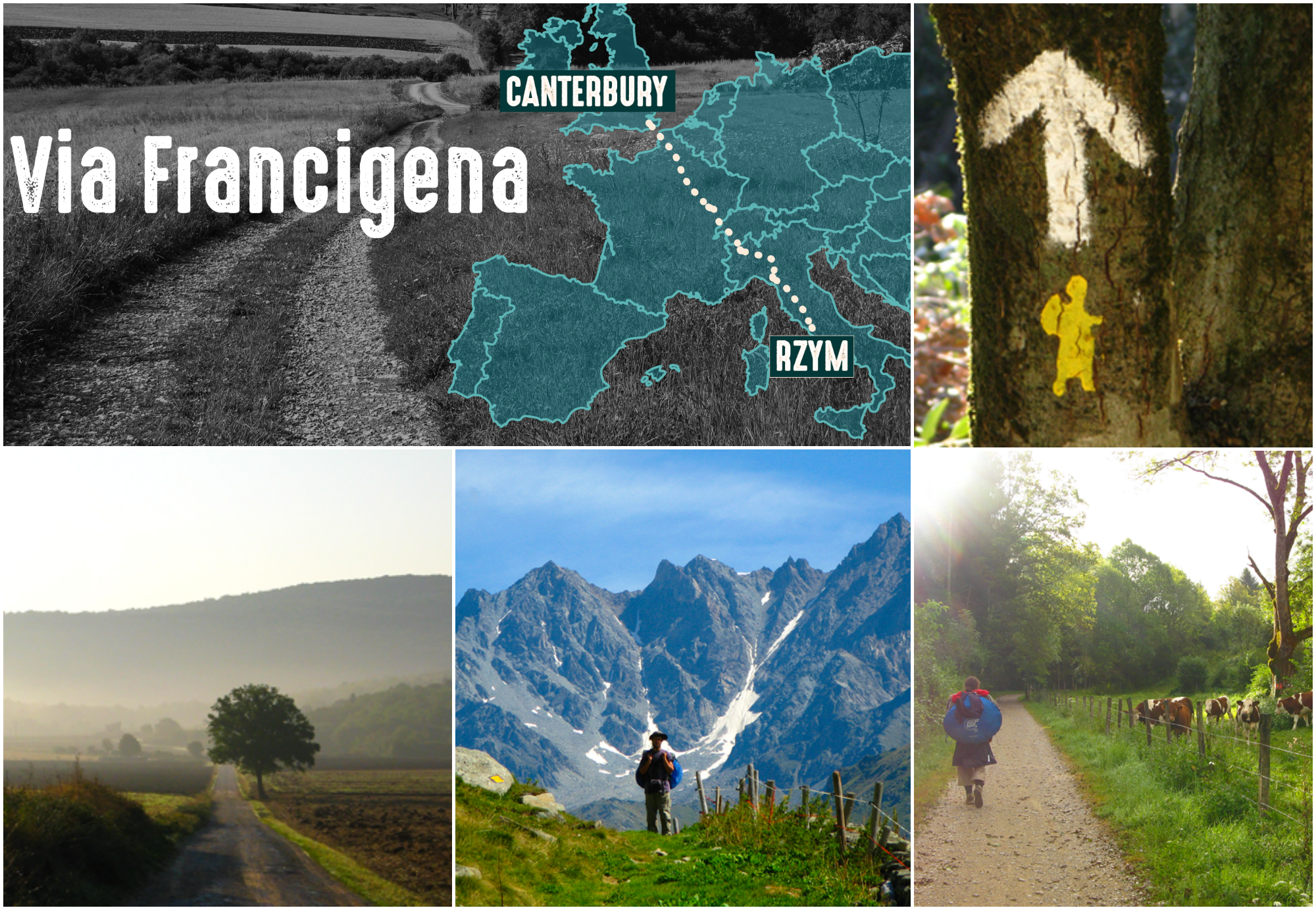 PicMonkey Collage