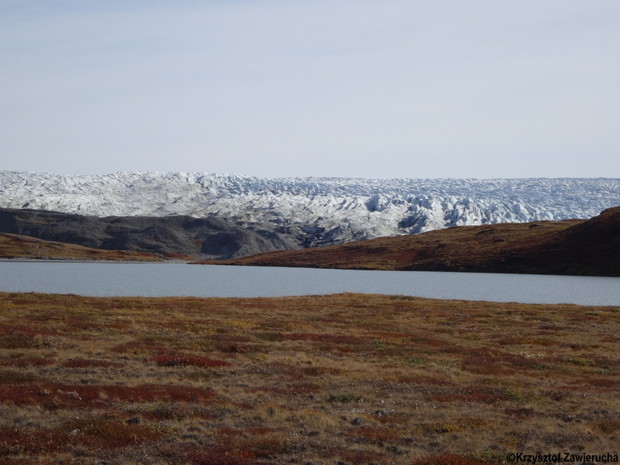 Grenlandia