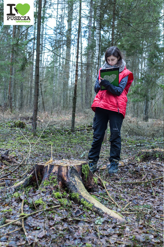 patrol_Greenpeace_1_fot_KKonstantynowicz