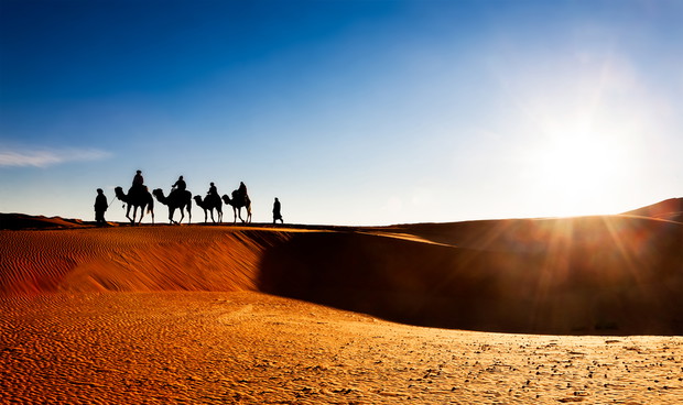 shutterstock_267427412