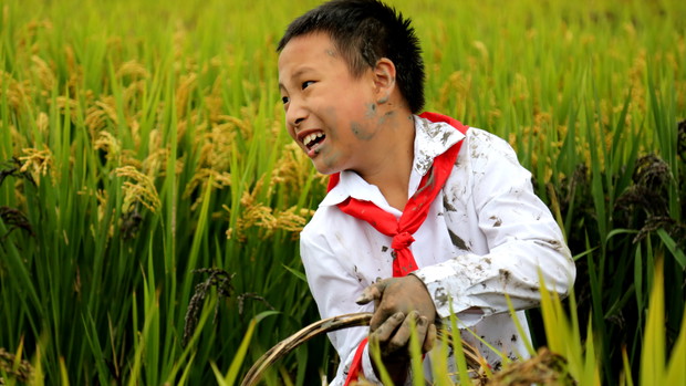 wv-honorable-mention-china-zhixuan-wu