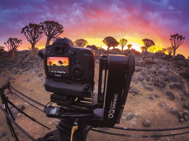 BTS-Quiver-Tree-Forest