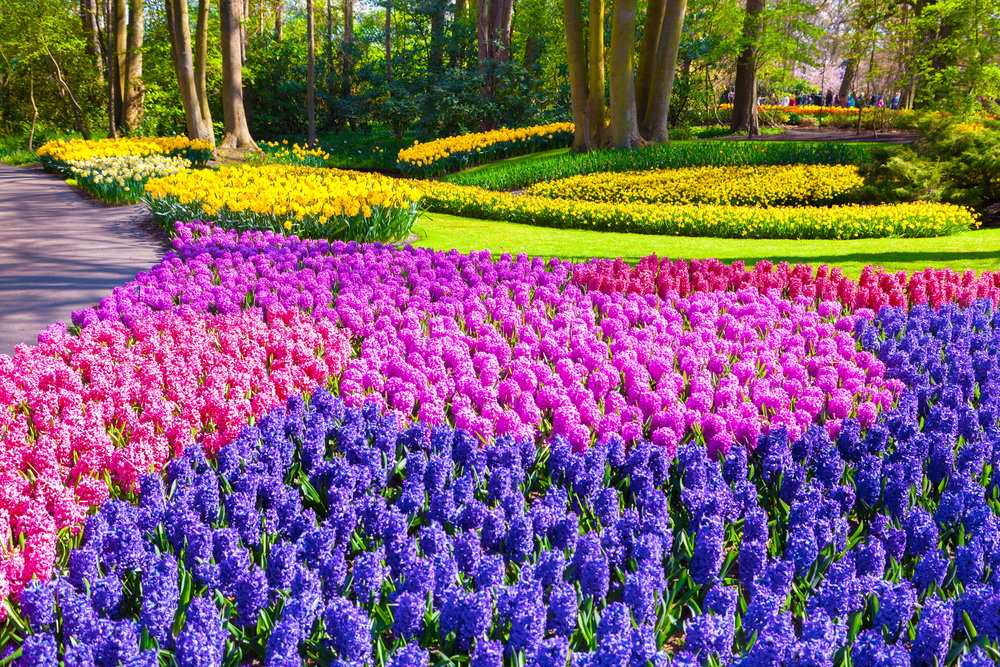 shutterstock_302762456