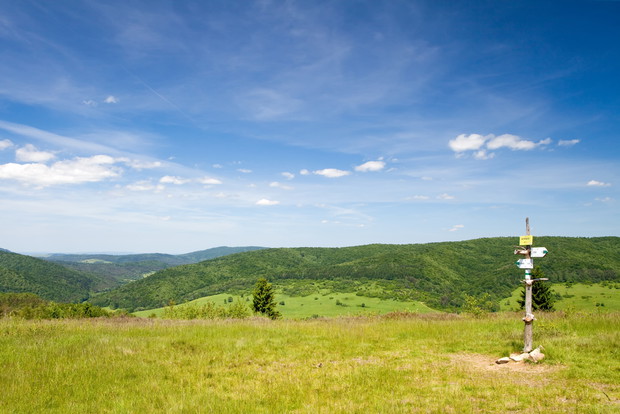 shutterstock_54688360