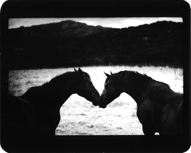 Foto Giacomo Brunelli
