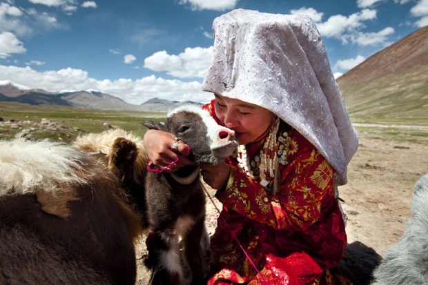 GettyImages-535614019