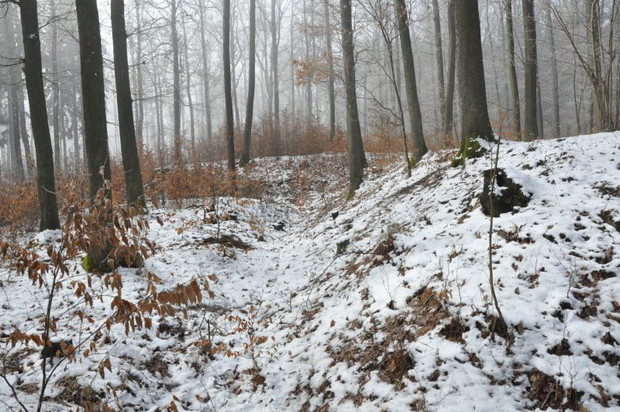 ryc.14 widok na wały szańca i fosę