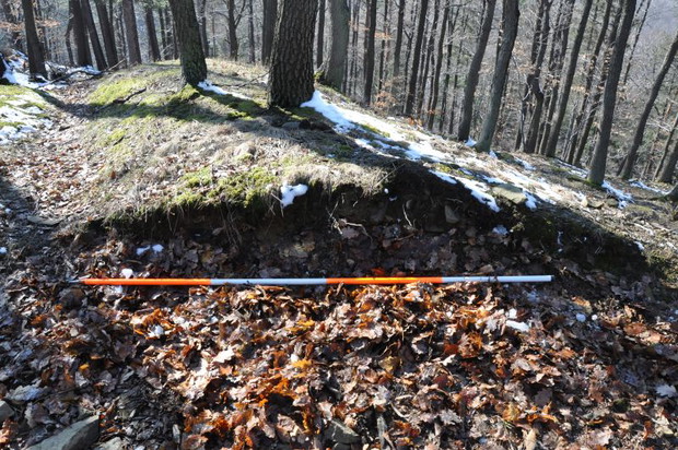 ryc.19 profil szańca