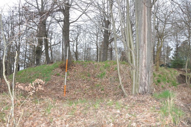 ryc.25 widok na szaniec