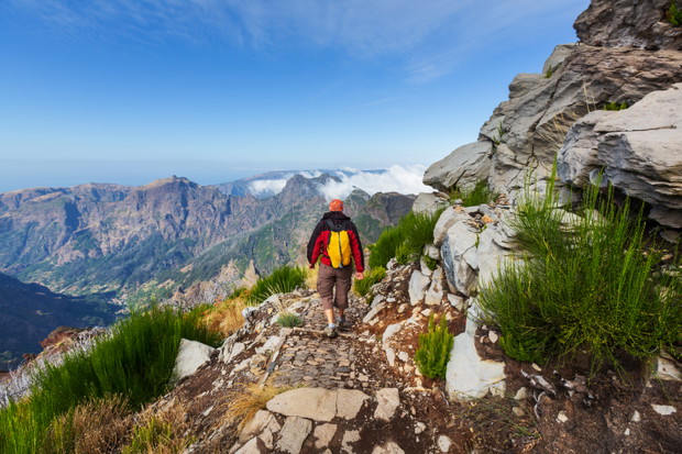shutterstock_165027503