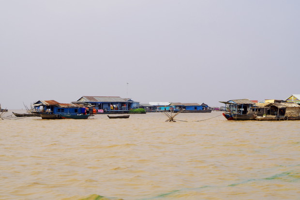 IMGP2815 a