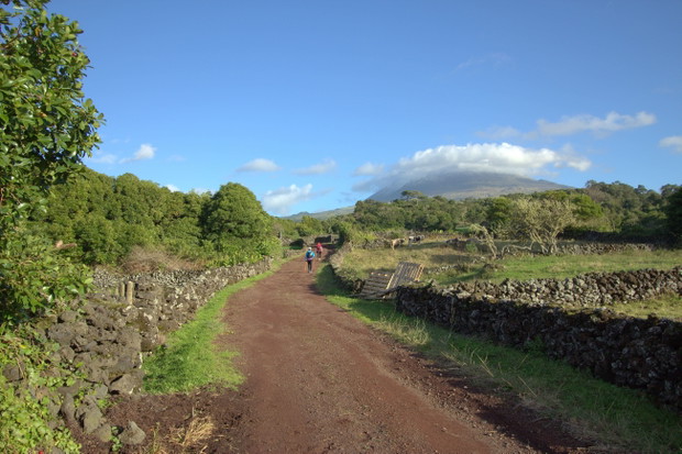Azores Ultra Trail Triangle Adventure 2015 - Pico-908- fot Elisabete Azevedo